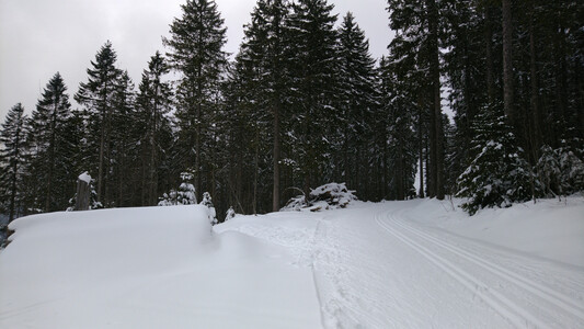 Cross-country skiing route at the Schauinsland.
